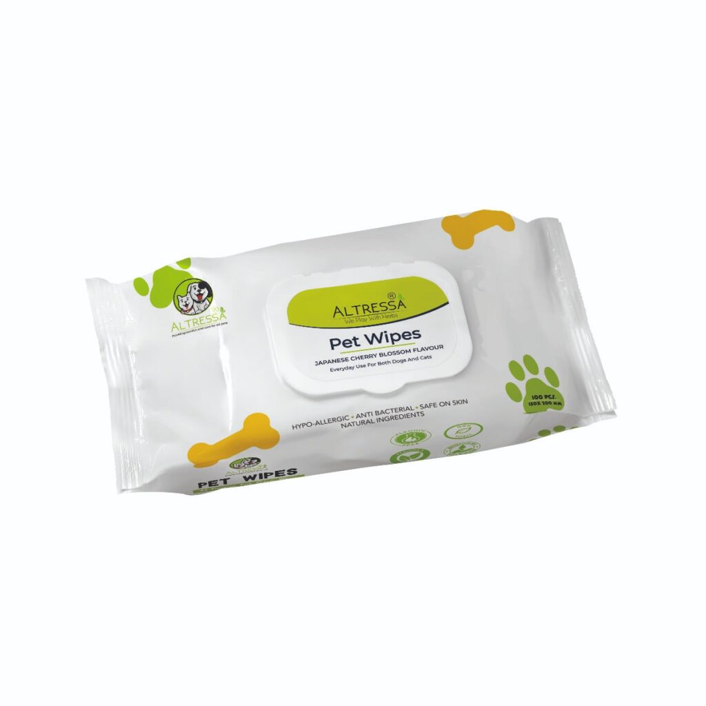 whatsapp image 2026 03 26 at 11.33.41 am